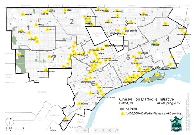 Daffodils Map